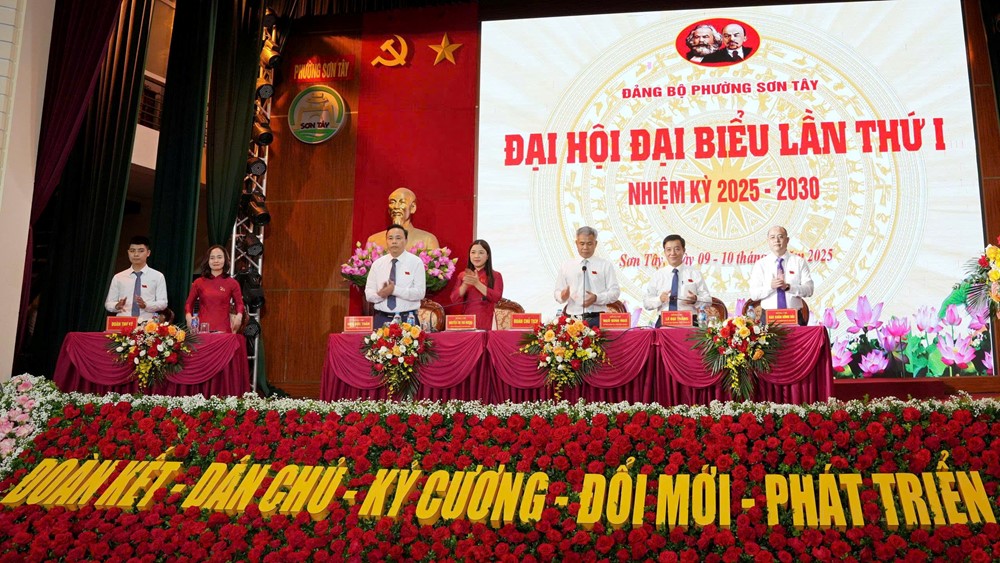 Đảng bộ phường Sơn Tây lần thứ I, nhiệm kỳ 2025-2030 diễn ra phiên trù bị - ảnh 3