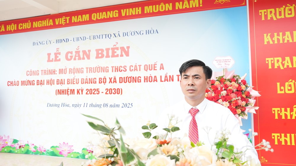 Xã Dương Hòa gắn biển công trình chào mừng Đại hội Đảng các cấp - ảnh 3