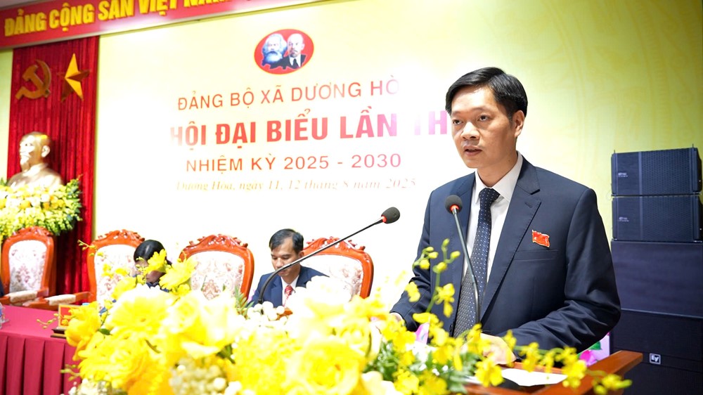 Tập trung xây dựng xã Dương Hòa là phường xanh, văn minh, hiện đại - ảnh 2