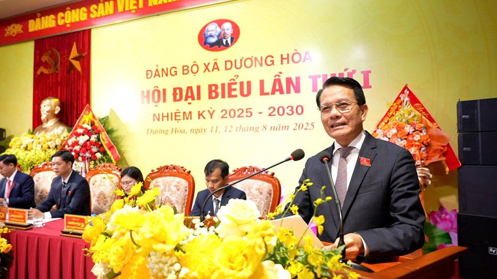 Xã Dương Hòa định hướng chặng đường mới phát triển toàn diện, đồng bộ và bền vững - ảnh 12
