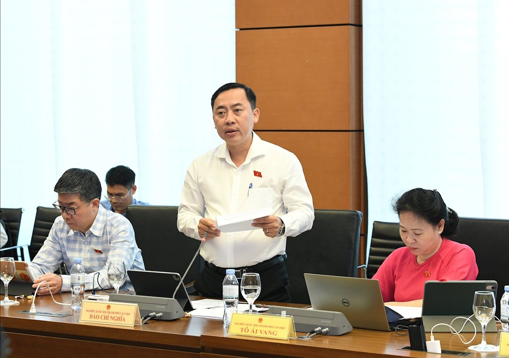 Việt Nam chỉ nên có trường đại học và đại học, nếu đại học vùng là cấp trung gian thì cần xoá bỏ - ảnh 3