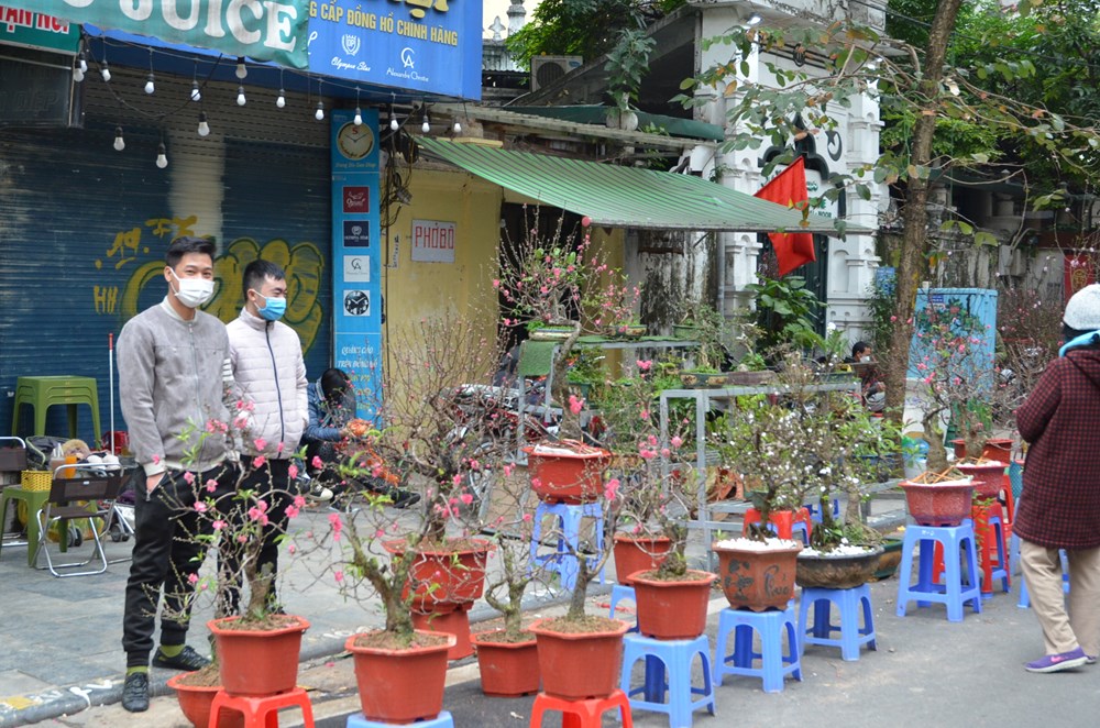 Nhộn nhịp khung cảnh chợ hoa Hà Nội ngày giáp Tết - ảnh 6