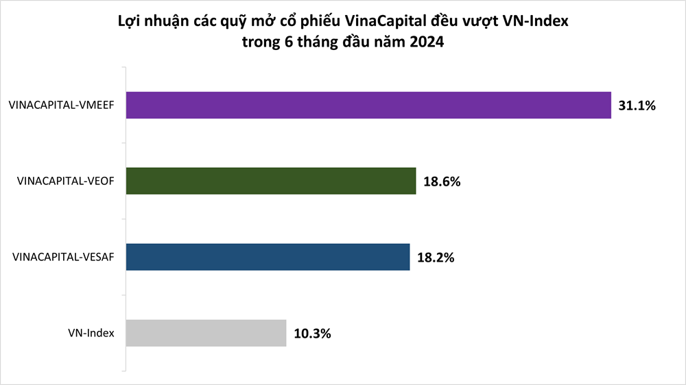 Vinacapital ra mắt quỹ mở cổ phiếu cổ tức đầu tiên - ảnh 1