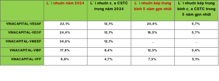 Quỹ mở cổ phiếu Vinacapital đạt lợi nhuận 34% trong năm 2024 - ảnh 1