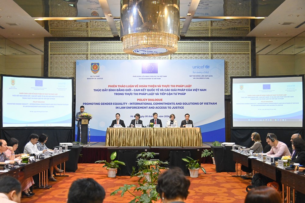 Thúc đẩy bình đẳng giới – cam kết quốc tế và các giải pháp của Việt Nam - ảnh 1