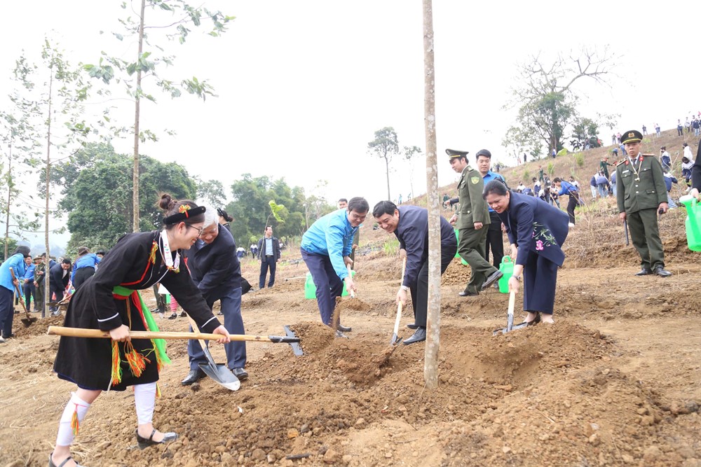 Trung ương Đoàn phát động Tết trồng cây và thi đua chào mừng Đại hội lần thứ XIV của Đảng - ảnh 5