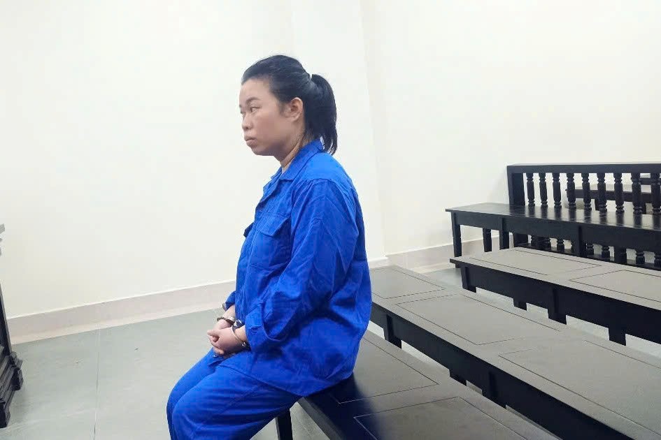 Nữ luật sư nhận mức án 14 năm tù về tội lừa đảo chiếm đoạt tài sản - ảnh 1