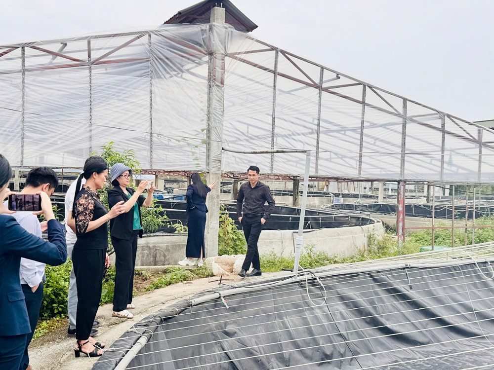 Hỗ trợ phụ nữ phát triển kinh tế tư nhân - ảnh 3