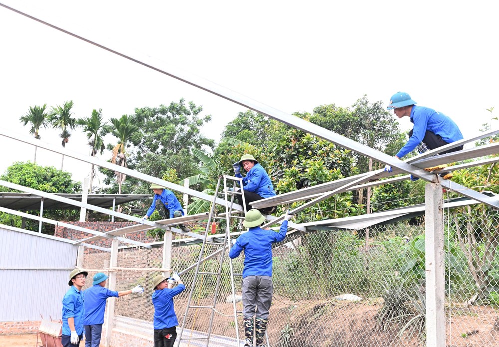 Dấu ấn áo xanh tình nguyện hỗ trợ thi công dự án đường dây 500kV Lào Cai – Vĩnh Yên - ảnh 3