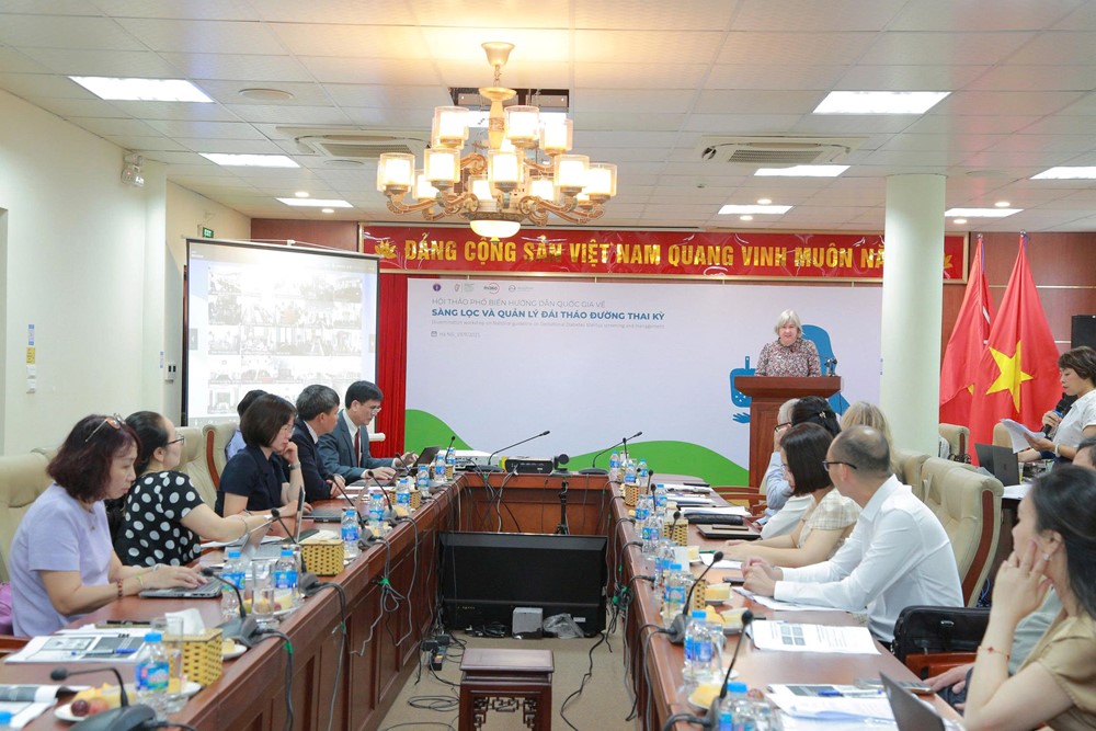 Bộ Y tế triển khai Hướng dẫn quốc gia về sàng lọc và quản lý đái tháo đường thai kỳ - ảnh 2