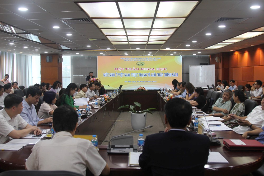 Thách thức khi mức sinh thay thế sụt giảm - ảnh 2