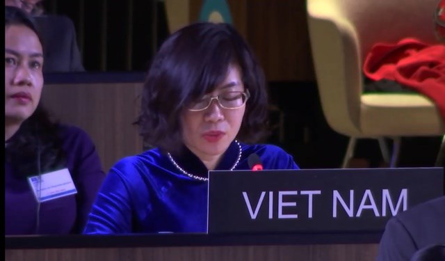 Việt Nam trúng cử thành viên Ủy ban liên Chính phủ Công ước UNESCO - ảnh 1