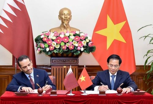 Việt Nam và Qatar luôn ủng hộ lẫn nhau tại các diễn đàn đa phương - ảnh 3