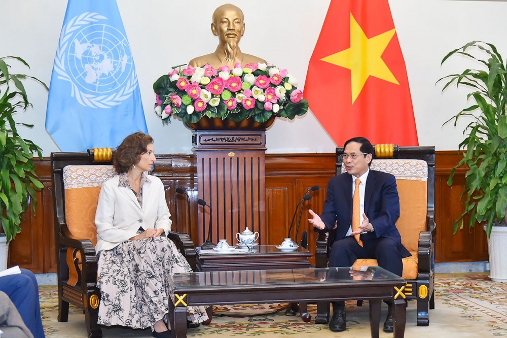Quan hệ hợp tác giữa Việt Nam và UNESCO ngày càng phát triển tốt đẹp - ảnh 1