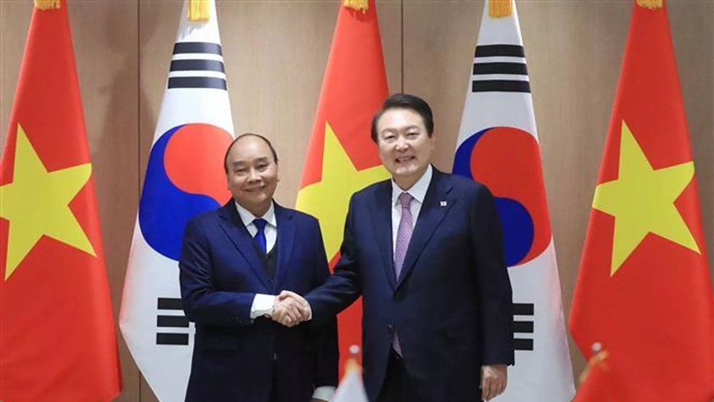 Hàn Quốc và Việt Nam nhất trí hợp tác chiến lược - ảnh 1