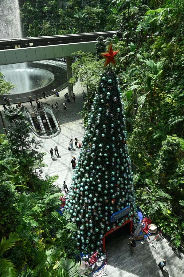 Những cây thông Noel độc đáo mùa Giáng sinh 2023 - ảnh 2