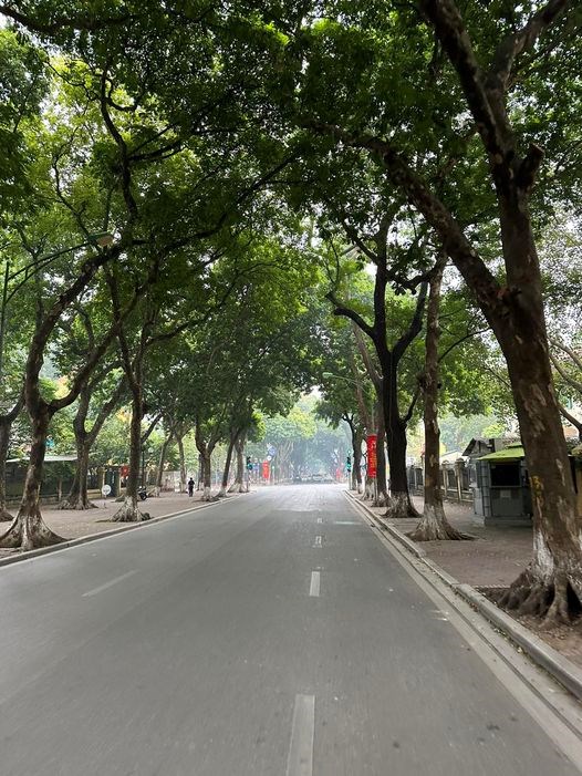Đường phố Hà Nội yên bình sáng đầu năm  - ảnh 1