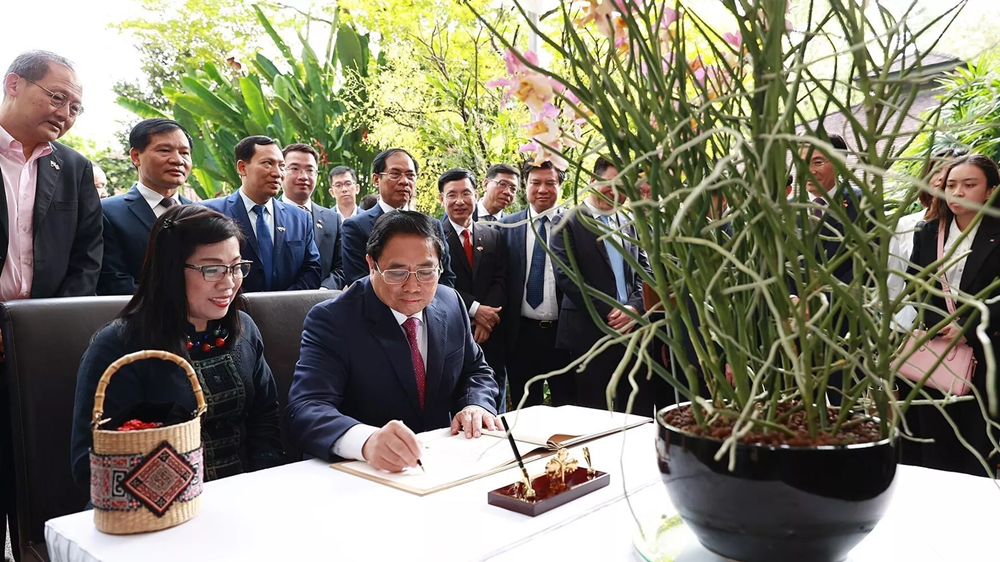 Singapore đặt tên giống hoa lan mới theo tên Thủ tướng Việt Nam - ảnh 1