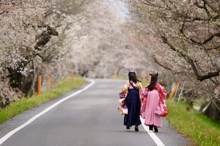 Nhật Bản lo ngại bến đổi khí hậu tác động đến văn hóa quốc gia - ảnh 1