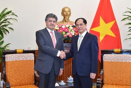 Bộ trưởng Bùi Thanh Sơn tiếp Đại sứ Armenia tại Việt Nam - ảnh 1