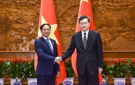 Việt Nam và Trung Quốc là đối tác hợp tác kinh tế - thương mại quan trọng của nhau - ảnh 1