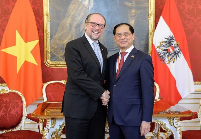 Bộ trưởng Ngoại giao Bùi Thanh Sơn gặp Bộ trưởng Ngoại giao Áo - ảnh 1