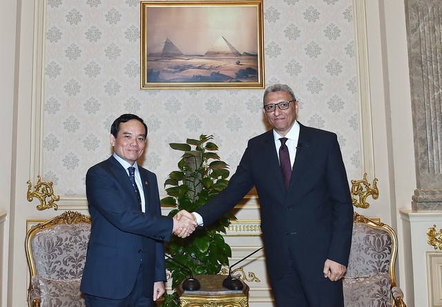 Việt Nam, Ai Cập cần đàm phán, ký kết hiệp định hợp tác kinh tế, thương mại - ảnh 2
