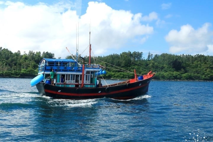 Khẩn trương làm rõ việc tàu cá bị tấn công trong vùng biển thuộc quần đảo Hoàng Sa - ảnh 1
