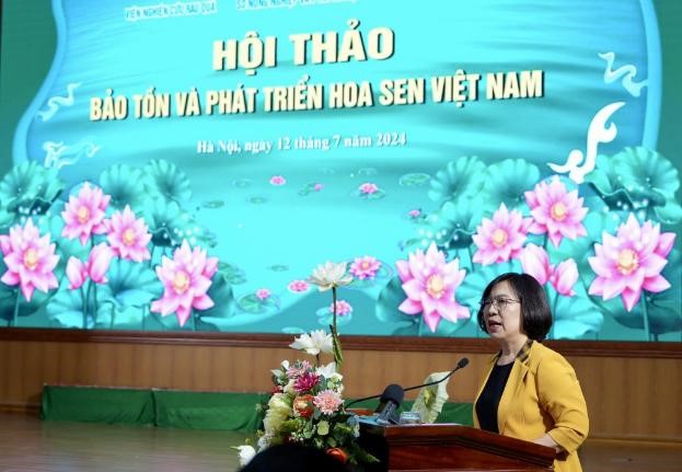 Bảo tồn và phát triển hoa sen Việt Nam trên địa bàn thành phố Hà Nội  - ảnh 2