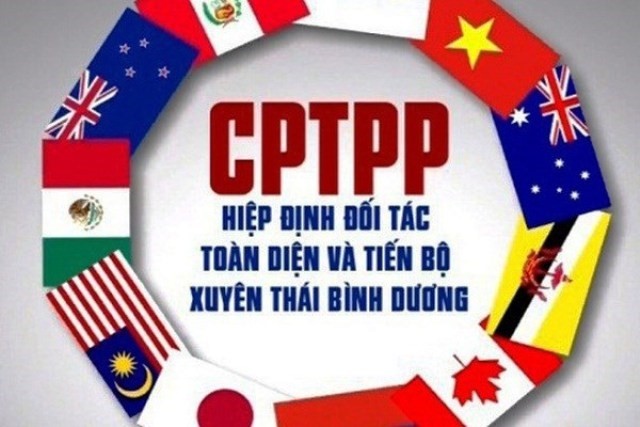 CPTPP tác động tích cực tới xuất khẩu của Việt Nam - ảnh 1