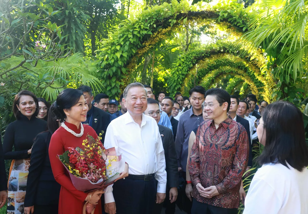 Singapore có loài hoa lan mang tên “Papilionanda Tô Lâm Linh Ly“ - ảnh 1