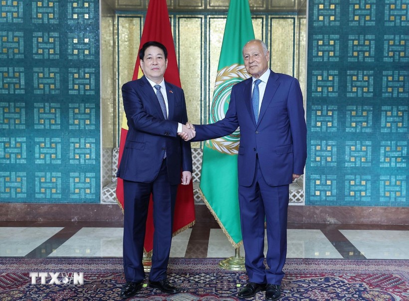 Chủ tịch nước Lương Cường dự Lễ thượng cờ Việt Nam tại trụ sở Liên đoàn Arab - ảnh 1