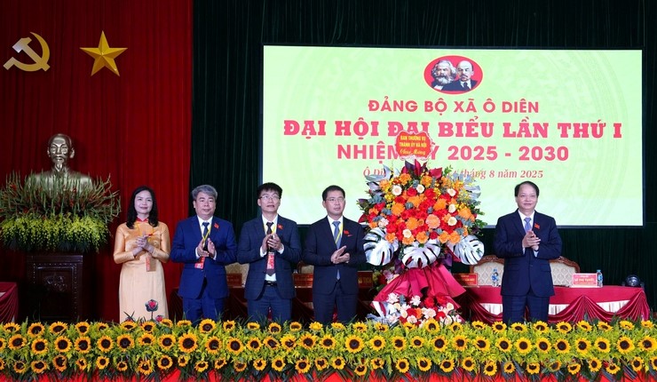 Xây dựng xã Ô Diên xanh, văn minh, năng động và phát triển - ảnh 2