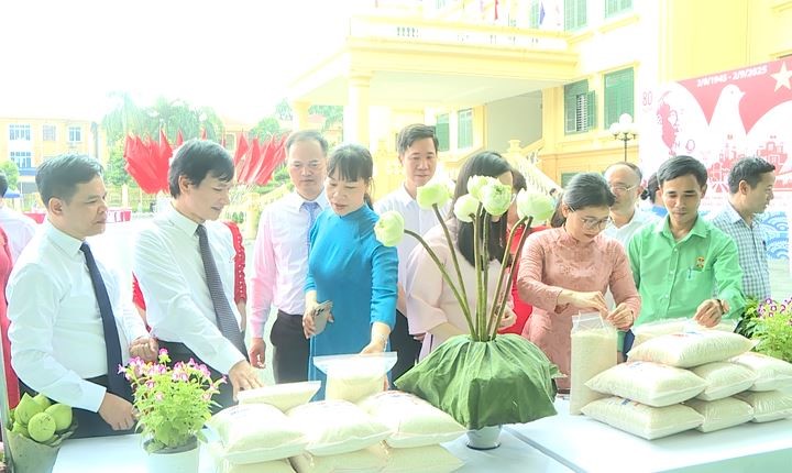Phúc Thọ rực rỡ Ngày hội Dân vũ và Áo dài - ảnh 11
