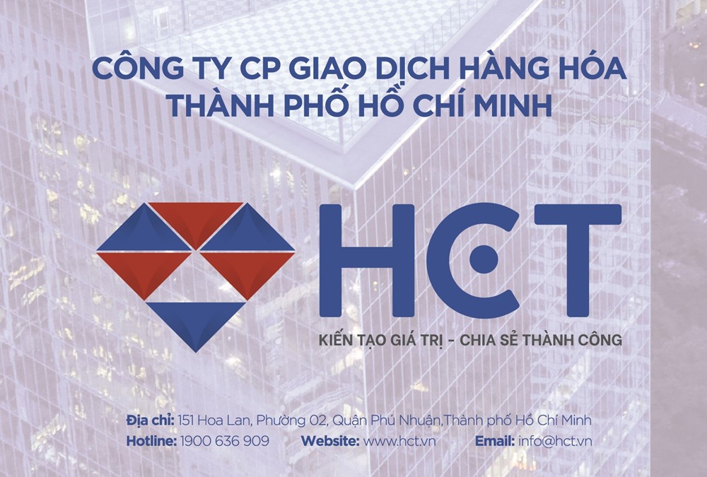 Dấu hiệu bất thường quanh cổ phiếu TKG - ảnh 1