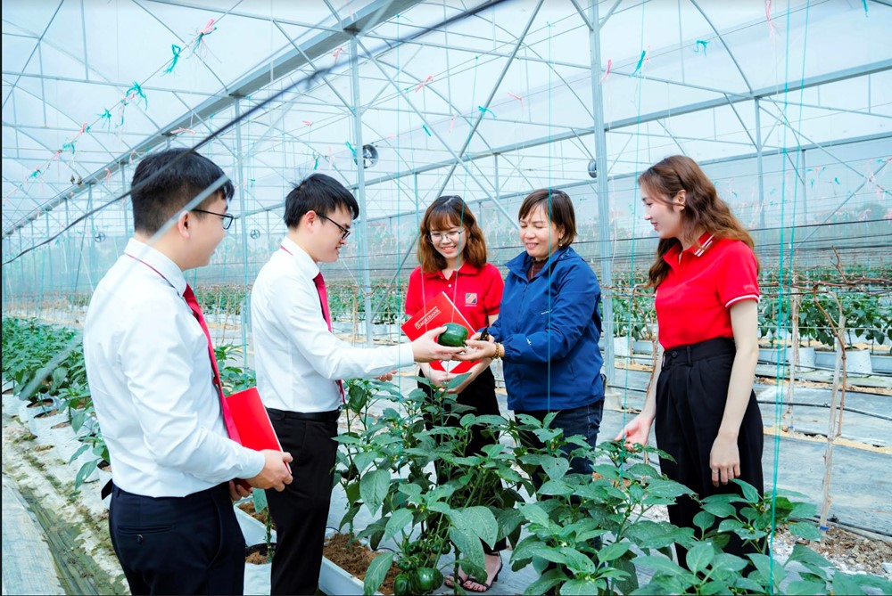 Agribank đồng hành tháo gỡ khó khăn, đẩy mạnh cung ứng vốn nền kinh tế - ảnh 2