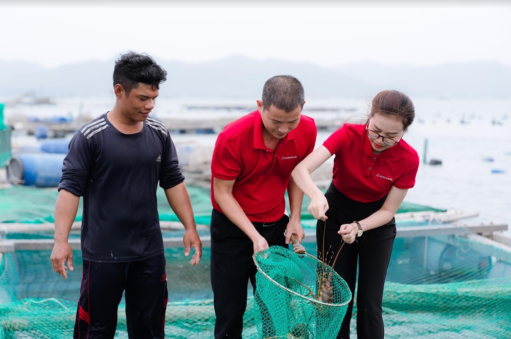 Agribank đồng hành tháo gỡ khó khăn, đẩy mạnh cung ứng vốn nền kinh tế - ảnh 4