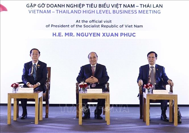 Chủ tịch nước Nguyễn Xuân Phúc gặp gỡ doanh nghiệp tiêu biểu Việt Nam - Thái Lan - ảnh 2