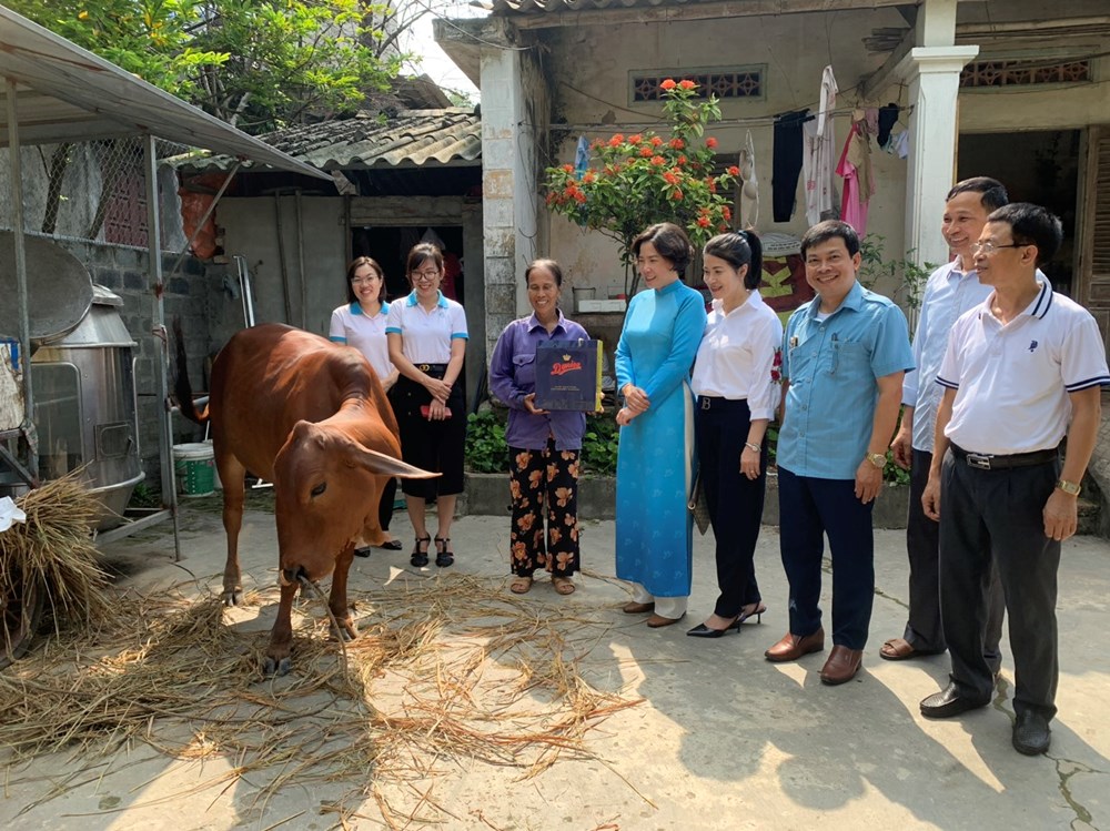 Trao tặng bò sinh sản hỗ trợ sinh kế cho phụ nữ khó khăn tại huyện Ba Vì - ảnh 1