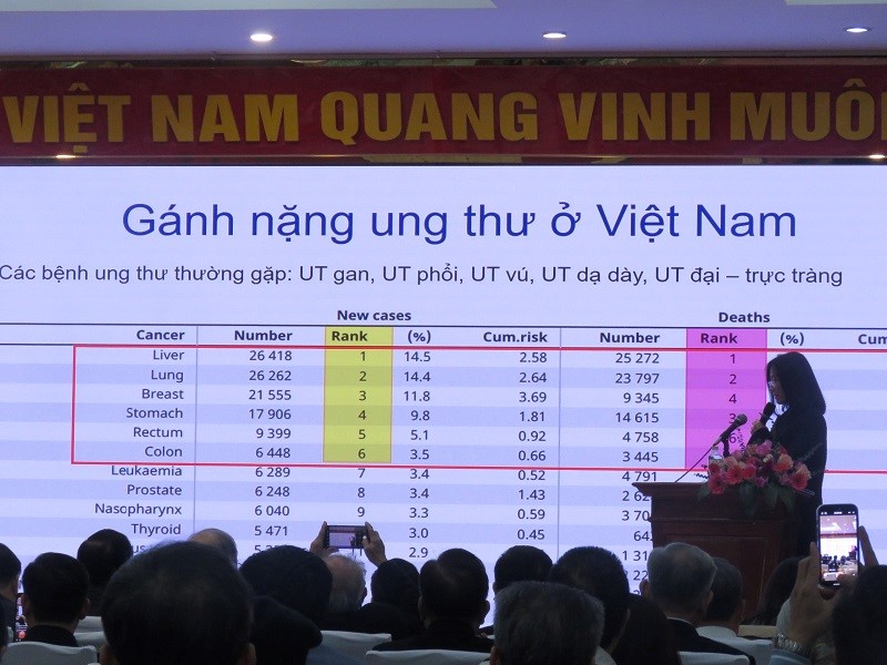 Nâng cao chất lượng điều trị và chăm sóc giảm nhẹ bệnh nhân ung thư - ảnh 3