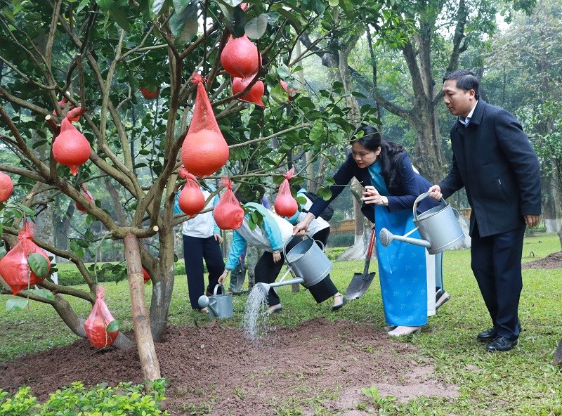 Hội LHPN Hà Nội hưởng ứng Tết trồng cây “Phụ nữ vun trồng tương lai” Xuân Giáp Thìn năm 2024 - ảnh 2