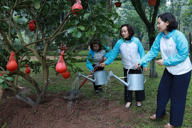 Hội LHPN Hà Nội hưởng ứng Tết trồng cây “Phụ nữ vun trồng tương lai” Xuân Giáp Thìn năm 2024 - ảnh 3