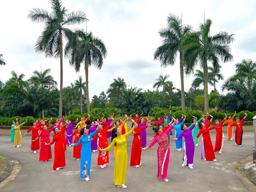 Ấn tượng màn đồng diễn dân vũ của Phụ nữ Thủ đô kỷ niệm Chiến thắng Điện Biên Phủ - ảnh 5
