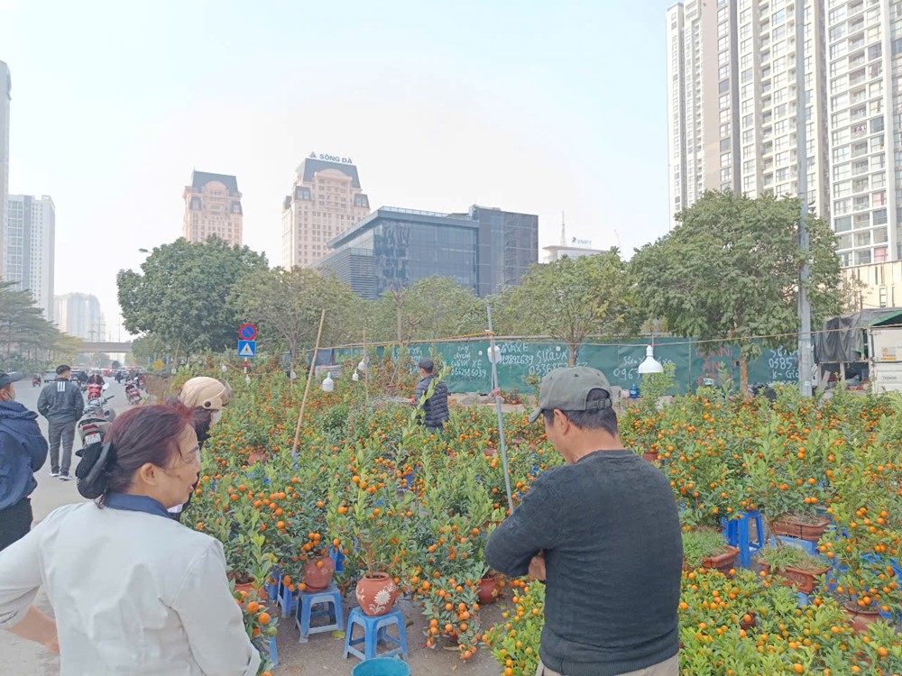 Thời tiết ngày 28/1:Thủ đô Hà Nội nhiều mây, không mưa - ảnh 1