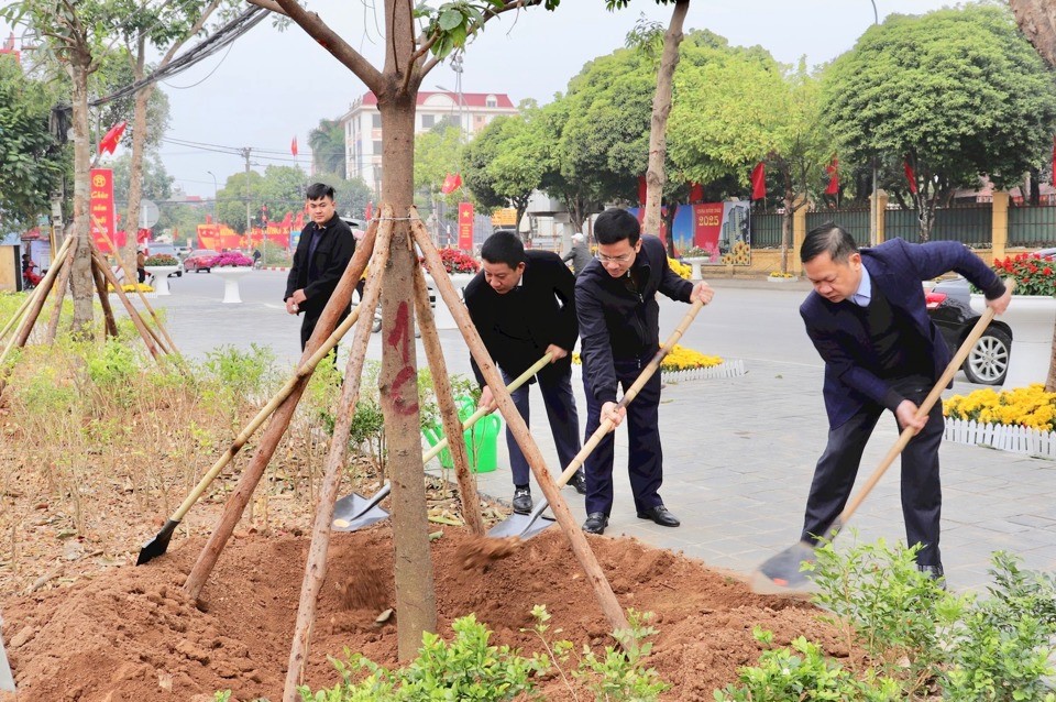 Huyện Sóc Sơn và  huyện Ba Vì: Thực hiện chương trình “Trồng một tỷ cây xanh” - ảnh 2