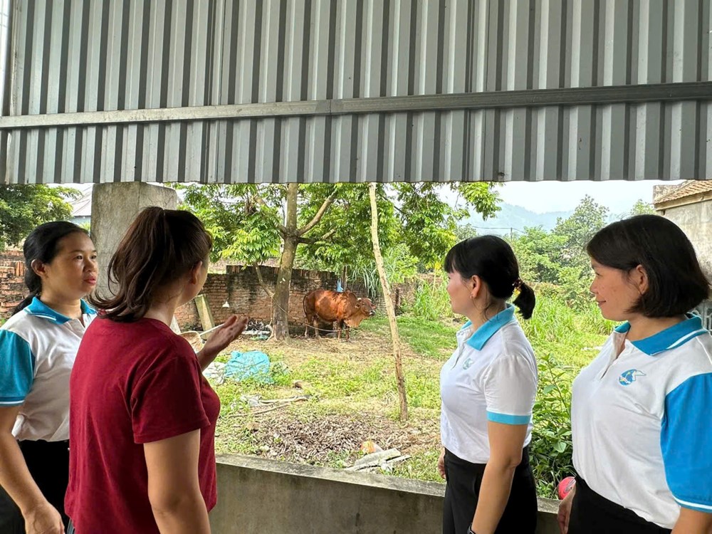 Hội LHPN xã Trung Giã: Tổ chức kiểm tra nguồn vốn vay ưu đãi qua Ngân hàng chính sách xã hội - ảnh 1