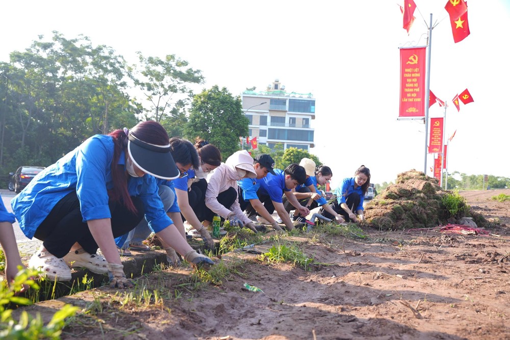 Xã Phù Đổng ra quân tổng vệ sinh môi trường, lan tỏa mạnh mẽ thông điệp Hà Nội “Sáng - Xanh - Sạch - Đẹp” - ảnh 11
