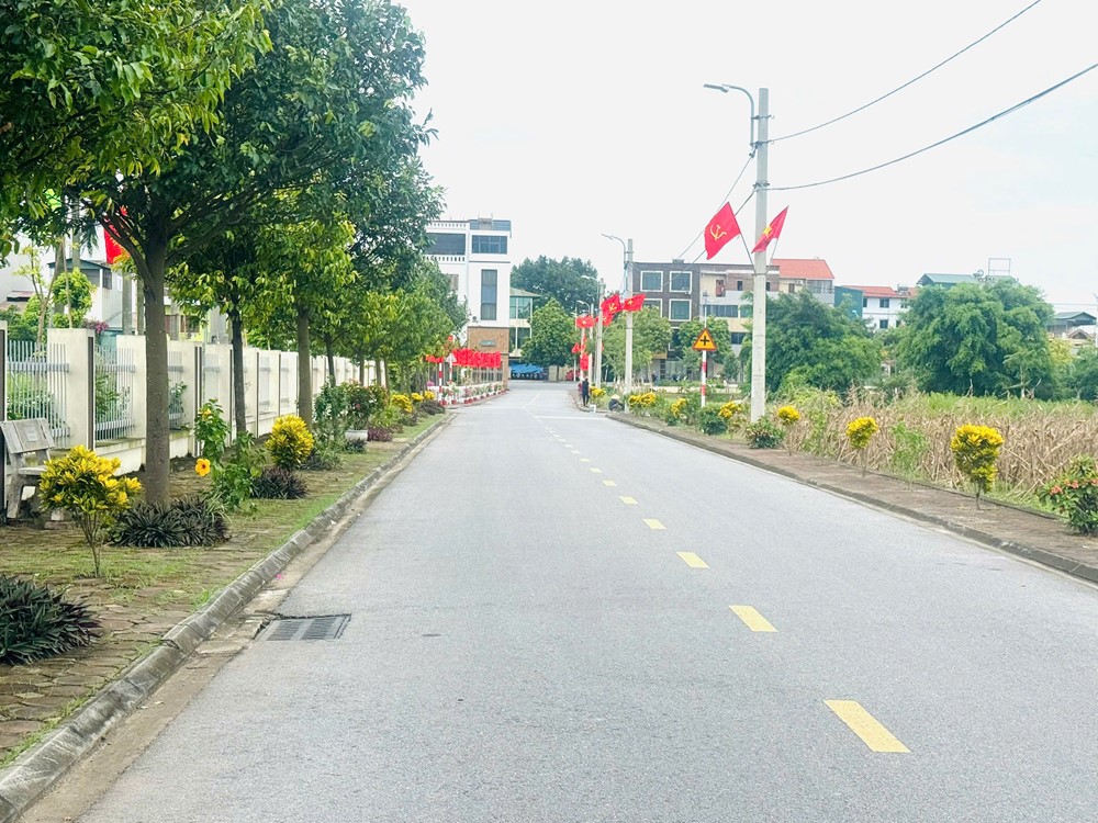 Hội LHPN xã Thuận An gắn biển công trình “Tuyến đường nở hoa kiểu mẫu” chào mừng Đại hội - ảnh 2