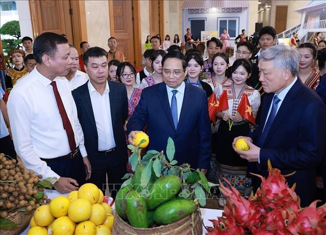 Thủ tướng chủ trì Hội nghị tổng kết Chương trình và Phong trào thi đua 'Cả nước chung tay xóa nhà tạm, nhà dột nát' - ảnh 7