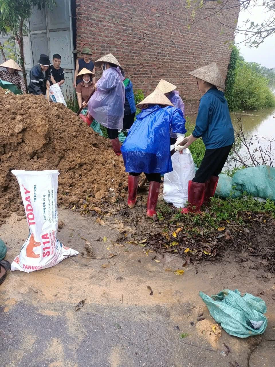 Hội LHPN xã Trung Giã hỗ trợ các hộ dân khắc phục ảnh hưởng bão lũ - ảnh 5